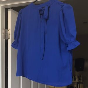 Elegant Blue Women's Top sheer blouse perfect for work